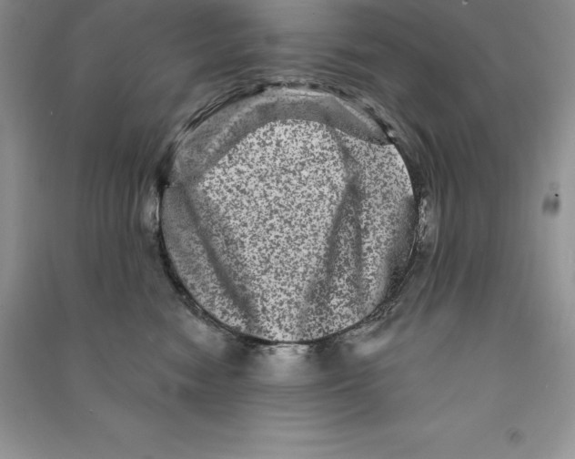 X0000090610474200708141355