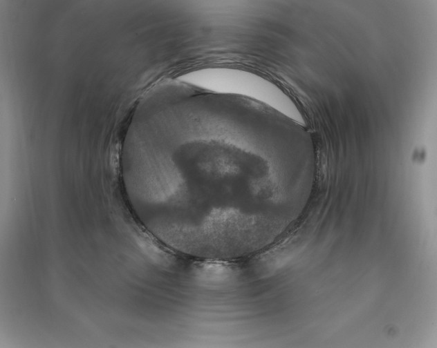 X0000090610475200708141355