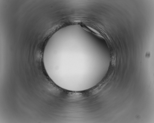 X0000090610476200708141355