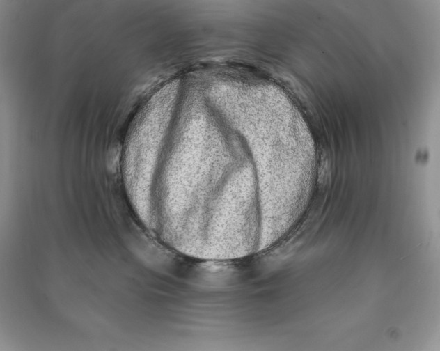 X0000090610477200708141355