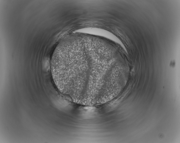 X0000090610478200708141355