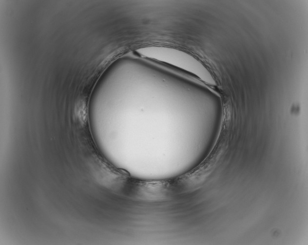 X0000090610479200708141355