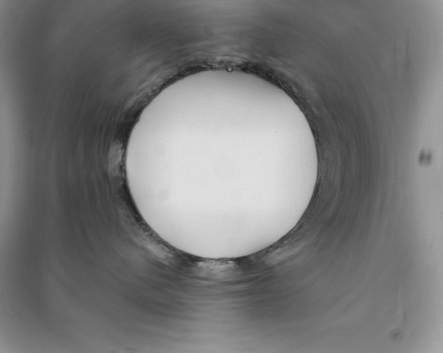 X0000090610480200708141355