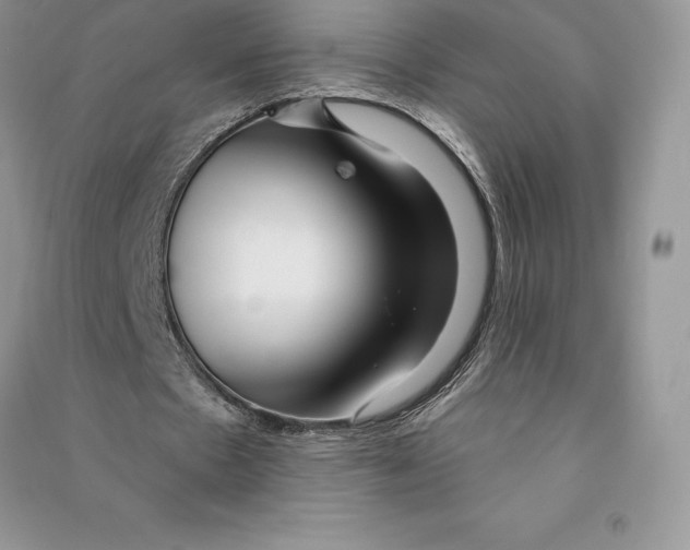 X0000090610481200708141354