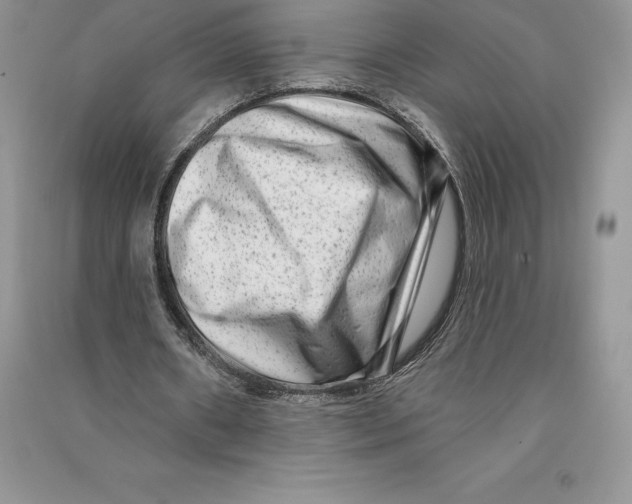 X0000090610482200708141354