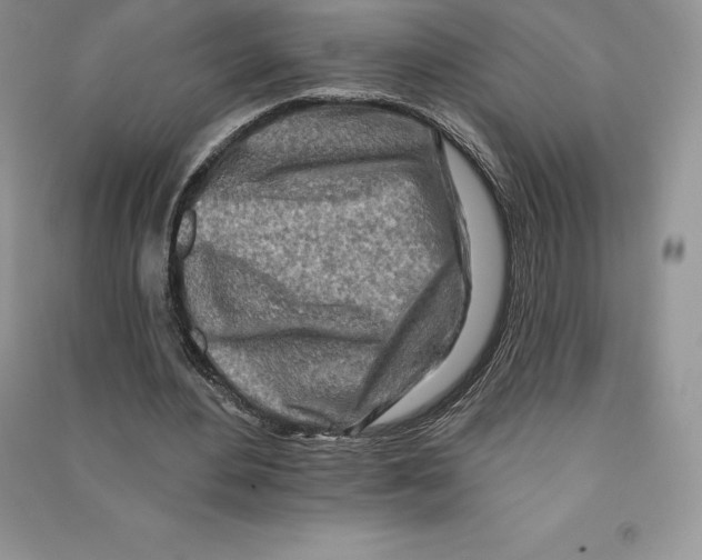 X0000090610484200708141354