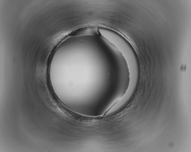 X0000090610485200708141354