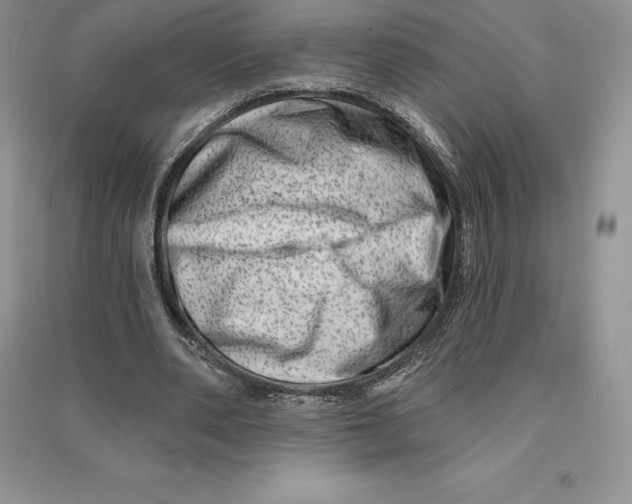 X0000090610486200708141354