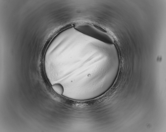 X0000090610487200708141354