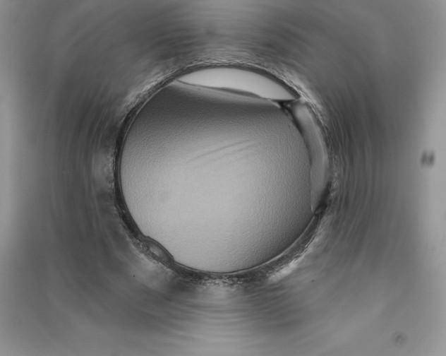 X0000090610489200708141354