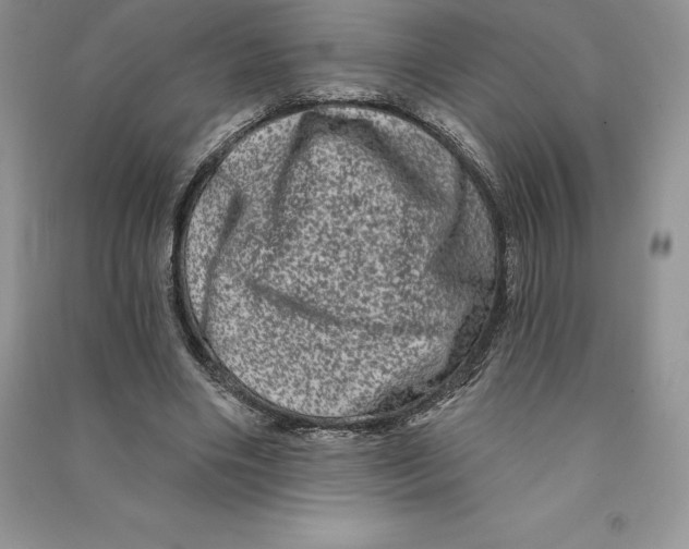 X0000090610490200708141354