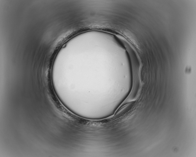 X0000090610491200708141354