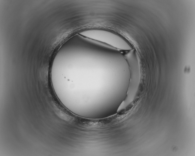 X0000090610493200708141354