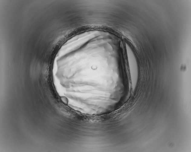 X0000090610495200708141354