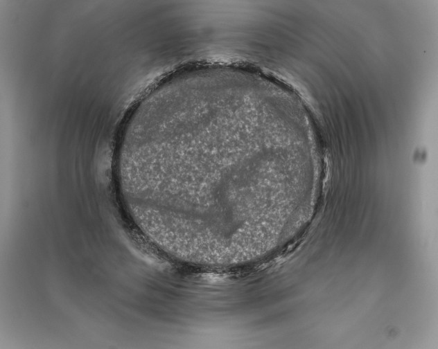 X0000090610496200708141354