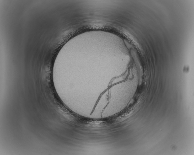 X0000090610497200708141354