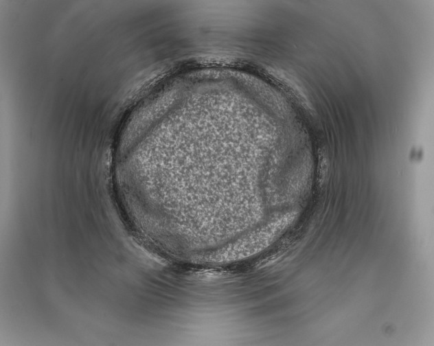 X0000090610498200708141354