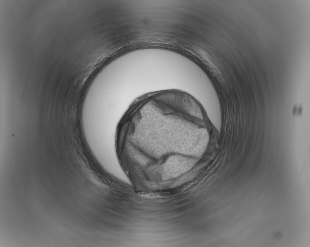 X0000090610500200708141354