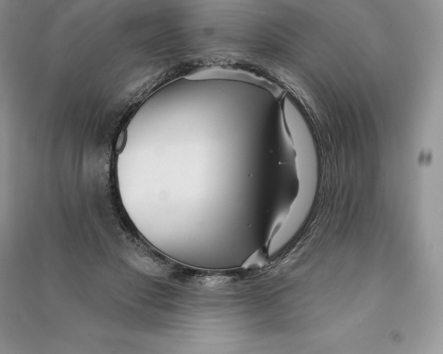 X0000090610501200708141354