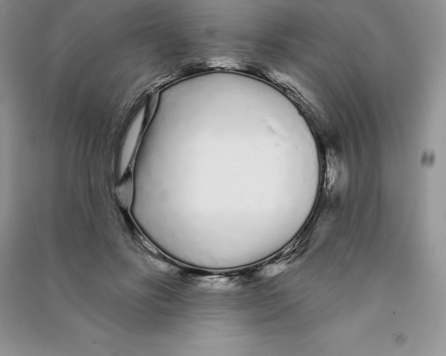 X0000090610502200708141354