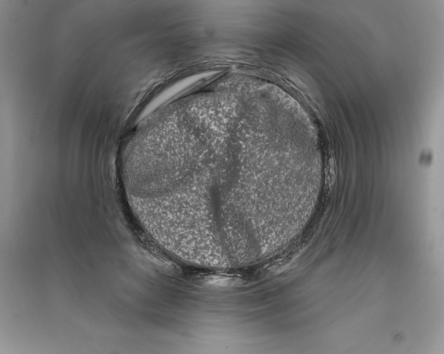 X0000090610504200708141354