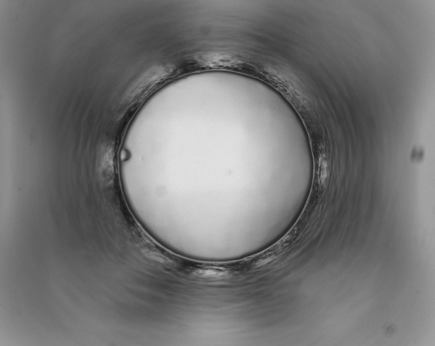 X0000090610506200708141354