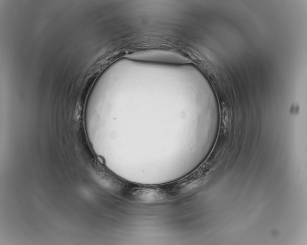 X0000090610507200708141354