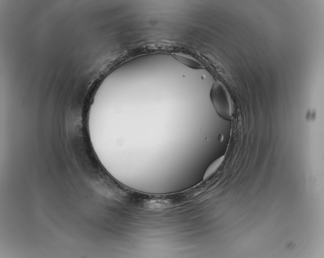 X0000090610508200708141354