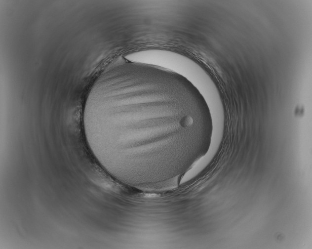 X0000090610509200708141354