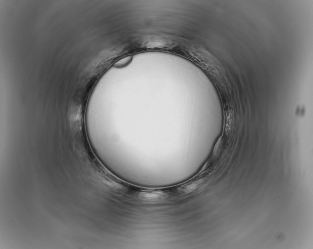 X0000090610510200708141354