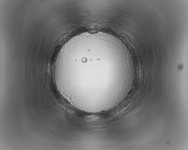 X0000090610511200708141354