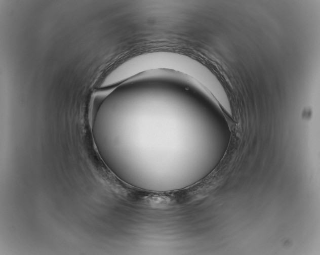 X0000090610512200708141354