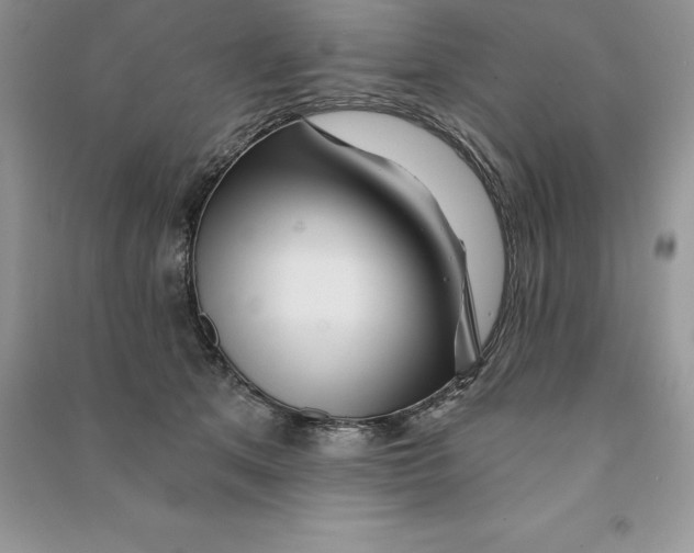 X0000090610513200708141354