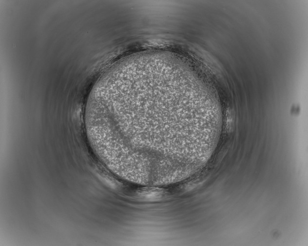 X0000090610514200708141354