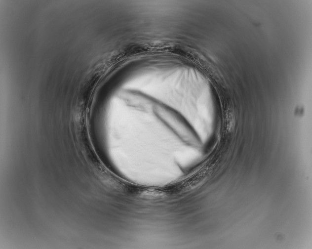 X0000090610515200708141354