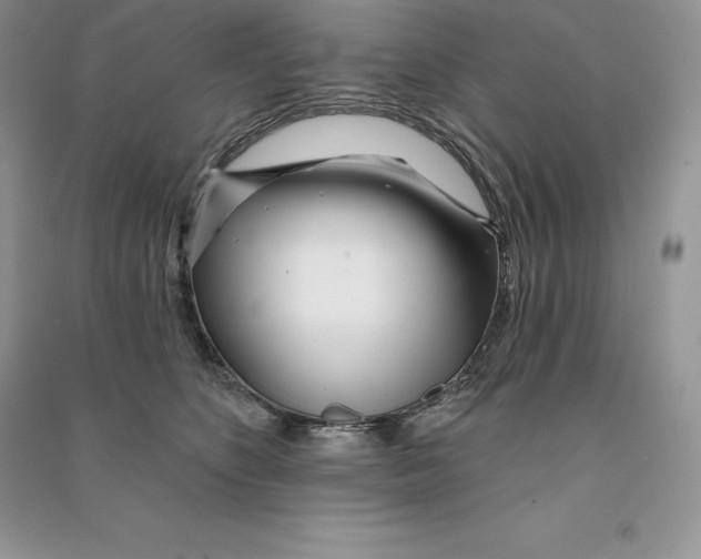 X0000090610516200708141354