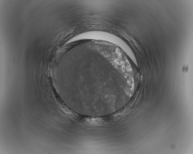 X0000090610517200708141354