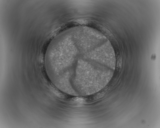 X0000090610518200708141354