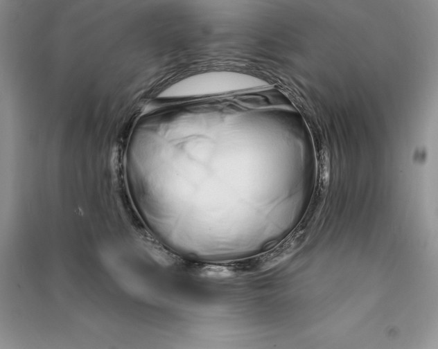 X0000090610519200708141354