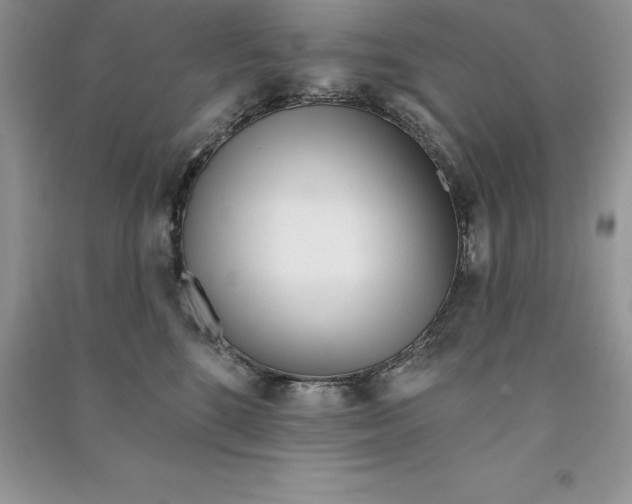 X0000090610520200708141354