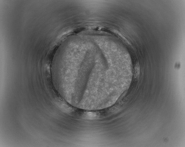 X0000090610522200708141354