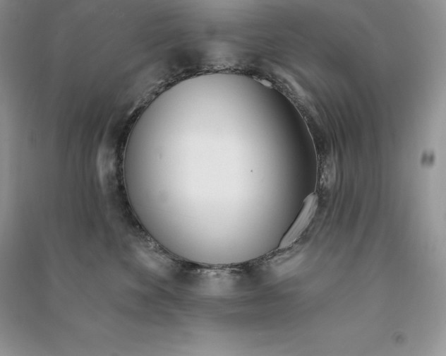 X0000090610524200708141354