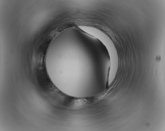 X0000090610525200708141354