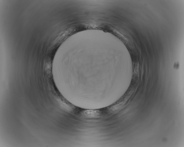 X0000090610526200708141354