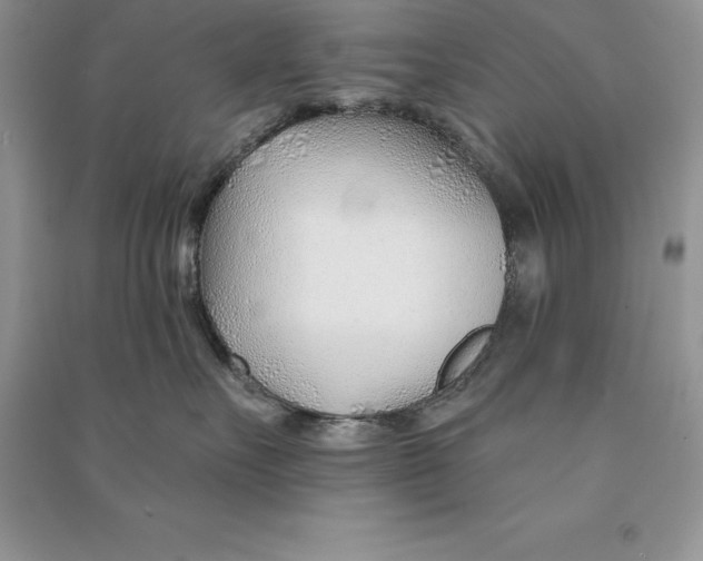 X0000090610527200708141354