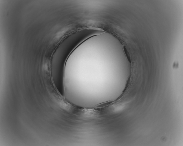 X0000090610528200708141354