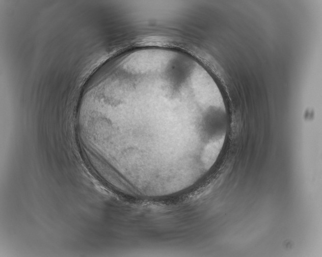 X0000090610529200708141353