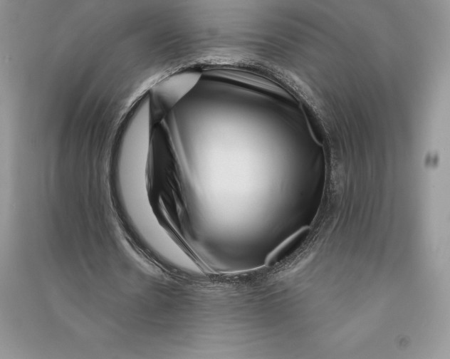 X0000090610530200708141353