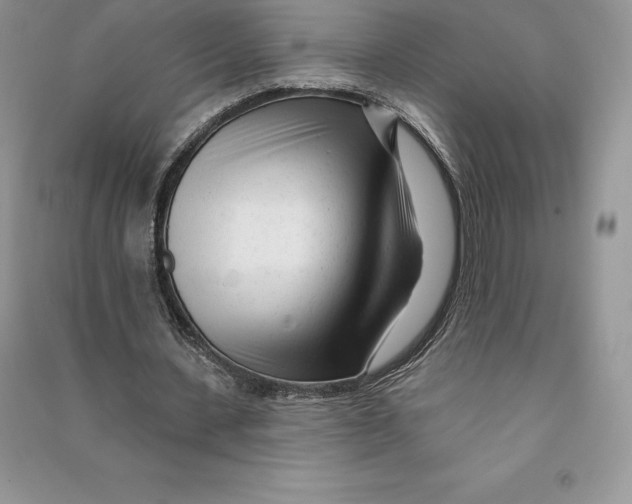 X0000090610531200708141353