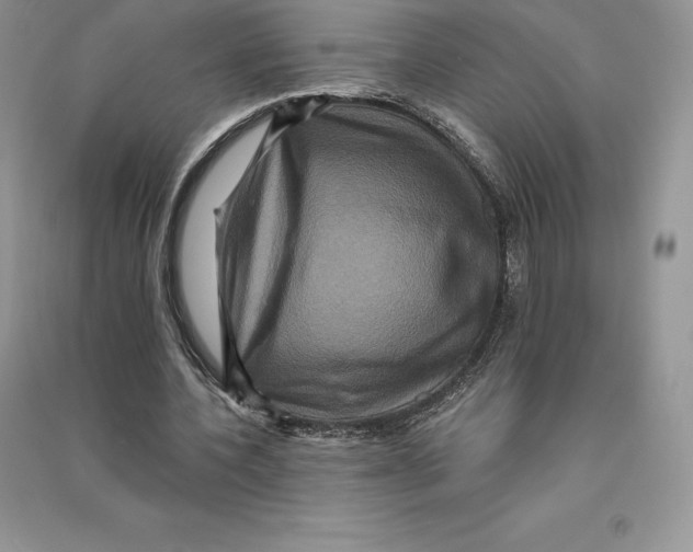 X0000090610532200708141353